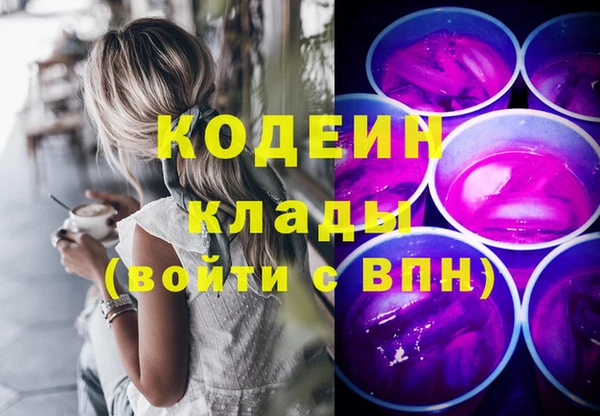 прущие грибы Кулебаки