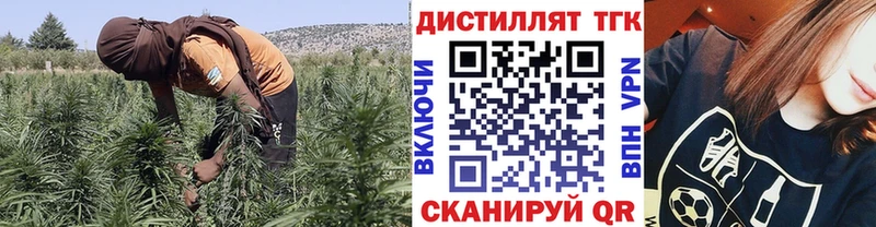 Купить закладки  Копейск  Дистиллят ТГК гашишное масло 